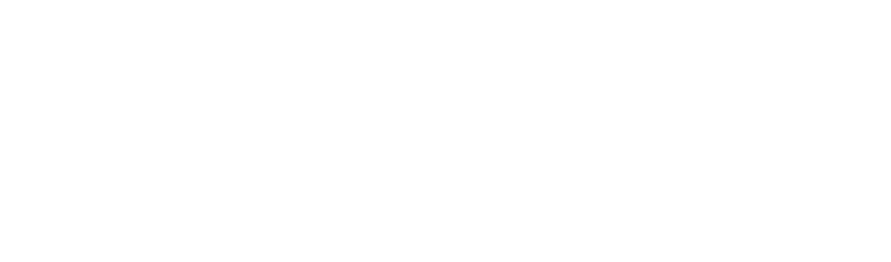 Alison Distribuidora