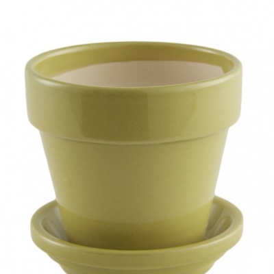 Maceta-con-plato-043671.jpg