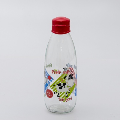 Botella-8701419.jpg