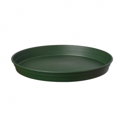 PLato-para-maceta.jpg