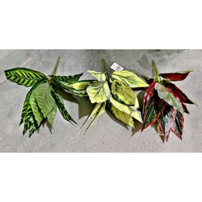 Planta-927308-1.jpg