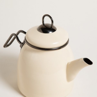 Pava-8792421-2.jpg