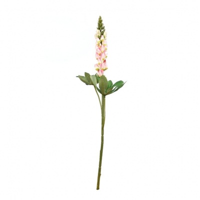 Lupines-281438.jpg