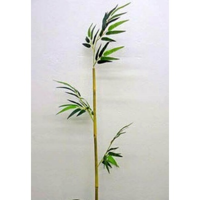 Bambu-033556.jpg