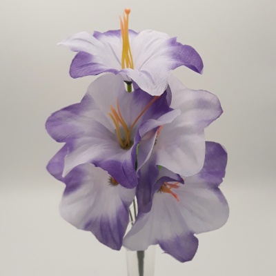 Flores-563107-4.jpg