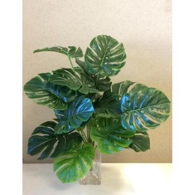 Planta-563427.jpg