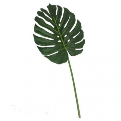 563512-1-todoflor.jpg