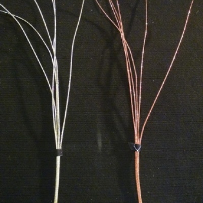 vara-563390.jpg