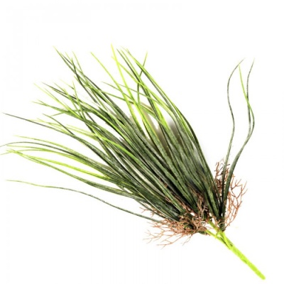 0321307-planta.jpg