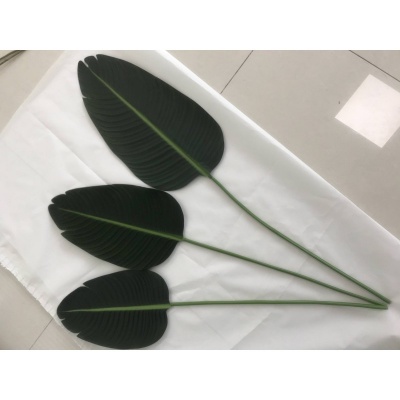 9794010-hojas.jpg