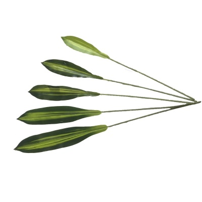 9794012-hoja.jpg