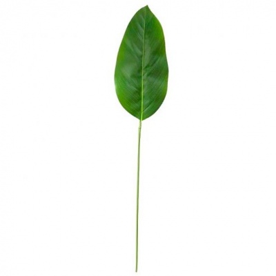 810491-2-hoja.jpeg