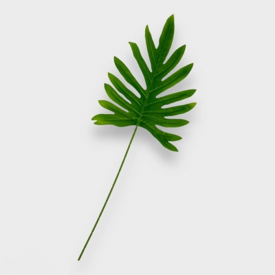 563572-hoja.jpg