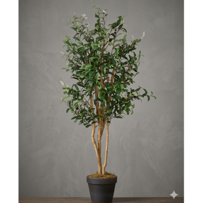 0331432-OLIVO-IA.png