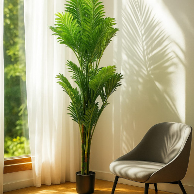 0331437-palmera-nueva_2.jpeg