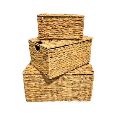 247013-organizadorx3.png