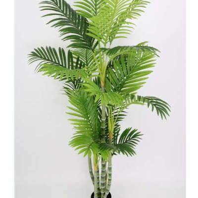 0331429.png