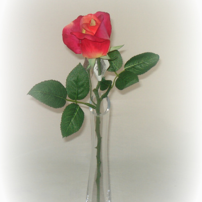 Vara-rosa-033290.JPG