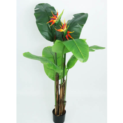 0331301-flor-de-pajaro.png
