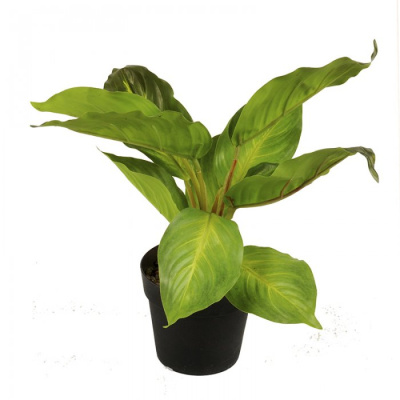 0321311-planta.jpg
