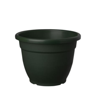 123069-2-MACETA-EDEN-COLOR.png