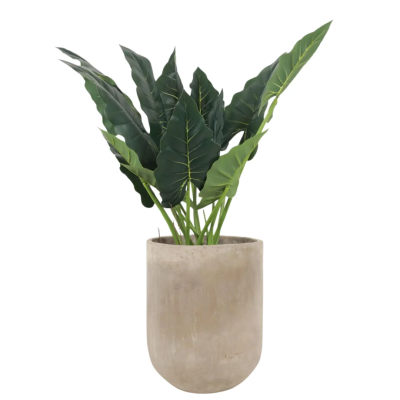 0431553-alc110-allocsia.png