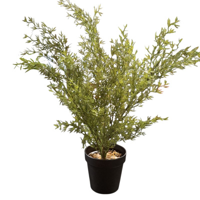 0431610-planta.jpeg