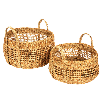 0431658-1-canastox2.png