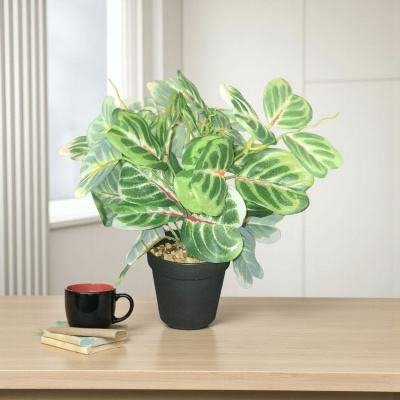 0432524-PLANTA.jpeg
