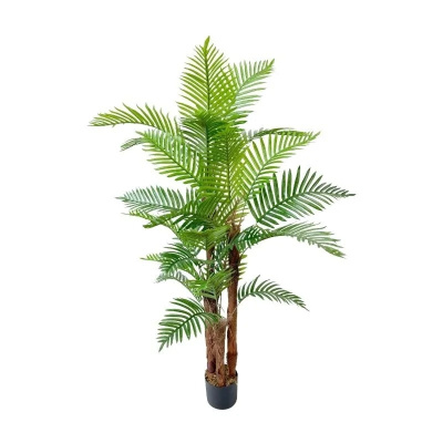 palmera-junko.jpeg