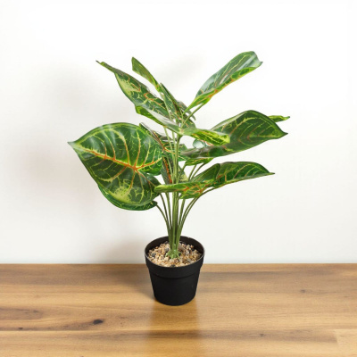 0432608-planta.jpeg