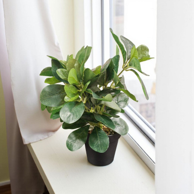 0432613-PLANTA.jpeg