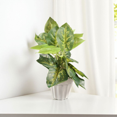 0432616-PLANTA.jpeg