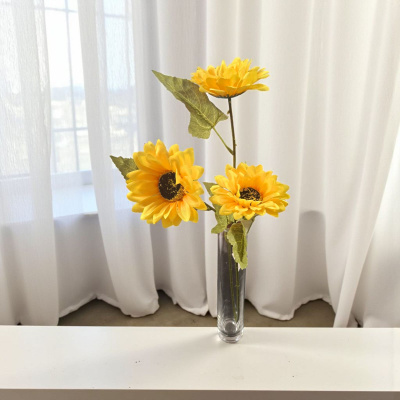 0432787-girasol.jpeg