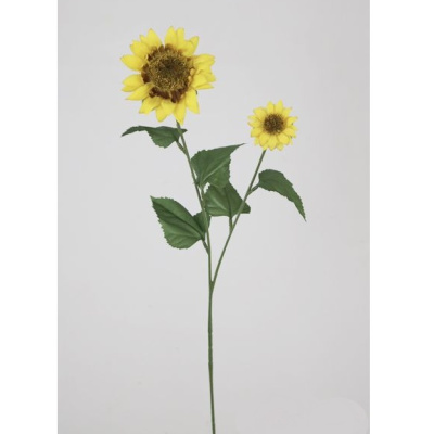 0432876-girasol.jpg