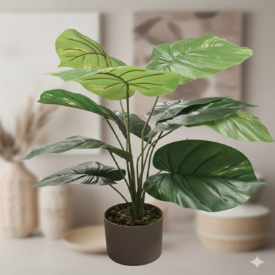 MONSTERA-666.jpg
