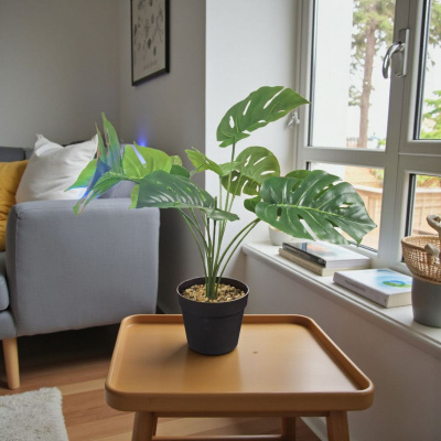 0433199-PLANTA.jpeg