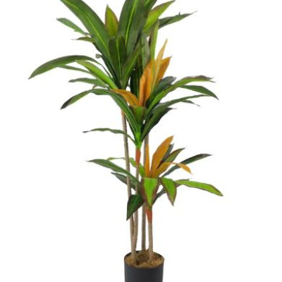 0433515-PLANTA.JPG