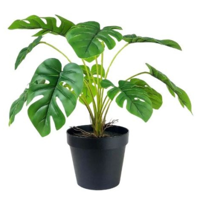 281587-planta.JPG