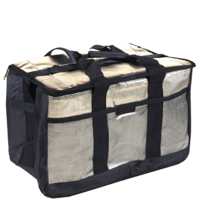 Bolso-termico.jpg