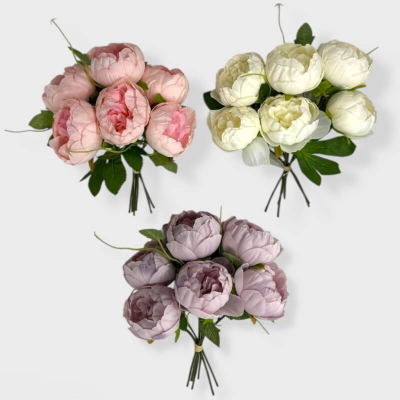 0433830-peonias-TF-76002.png