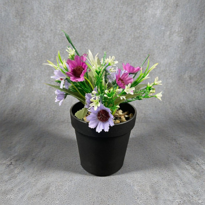 0433901-GERBERA.jpeg