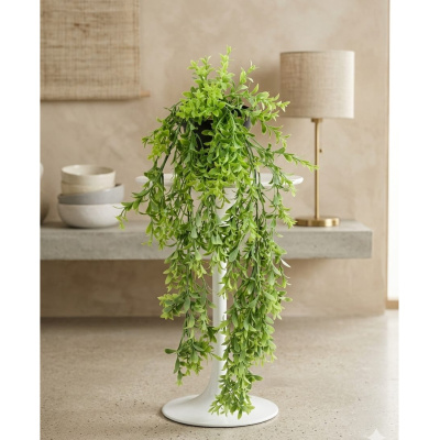 0433997-planta-colgante.jpeg