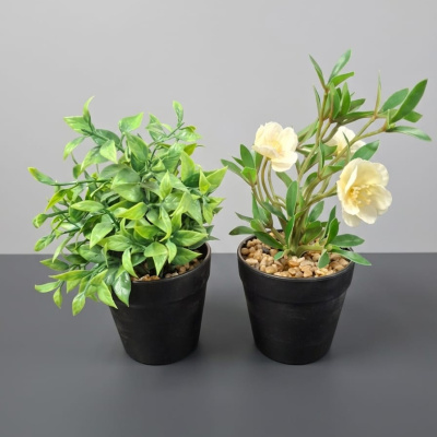 PLANTA-SURTIDO-3.jpg