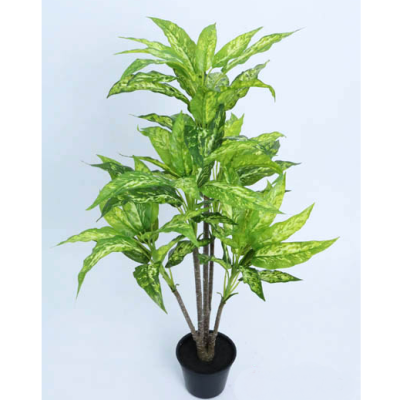 0434168-PLANTA-DIEFFENBACHIA.png