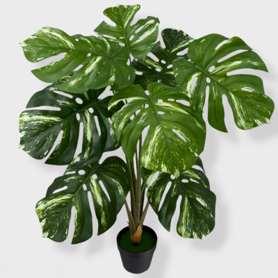 0434330-PLANTA.png