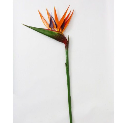 Flor-pajaro.jpg