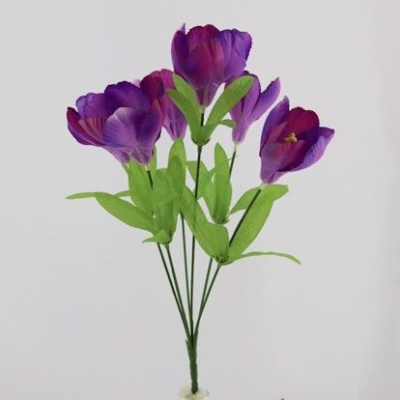 0434396-1-crocus.jpg