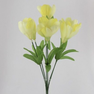 0434396-2-crocus.jpg
