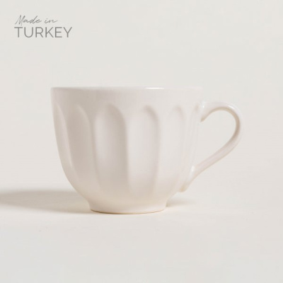 8792663-1-TAZA.jpg